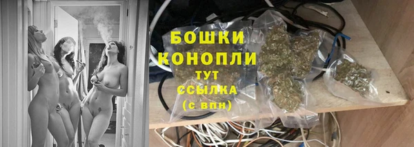 сатива Сосновый Бор