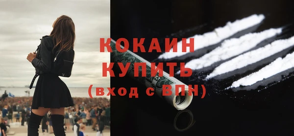 сатива Сосновый Бор