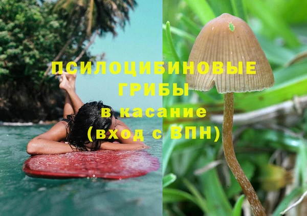 ECSTASY Сосновоборск