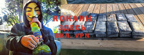 ГАЛЛЮЦИНОГЕННЫЕ ГРИБЫ Сосновка